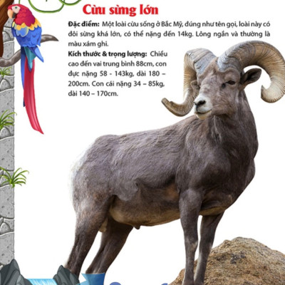 Khám Phá Động Vật 5 Châu - Châu Mỹ 