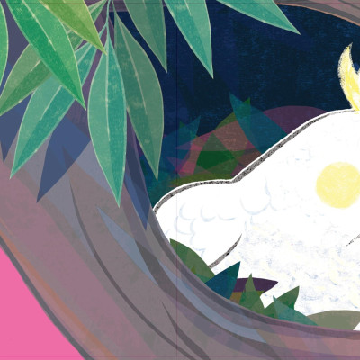 Sách - Thủ Thỉ Cùng Con - Sải Cánh Tung Bay