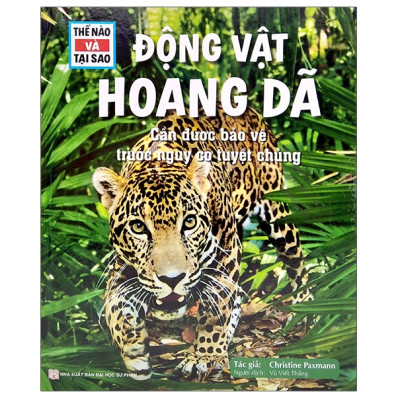Combo sách Trọn bộ thế nào và tại sao (19 cuốn Bìa cứng) - minhhabooks