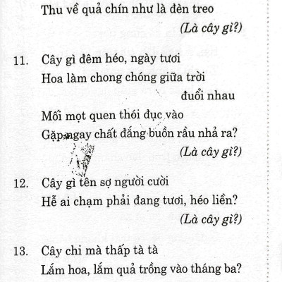 333 Câu Đố Luyện Trí Thông Minh