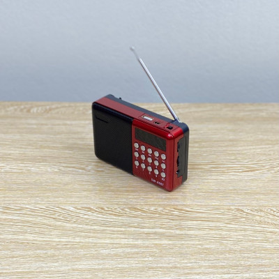 Đài Radio đọc thẻ nhớ SONY SW-69BT ( Hàng Chính Hãng )