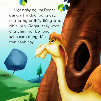 Thế Giới Tuyệt Vời Của Động Vật - Lạc Đà Và Chim Ruồi