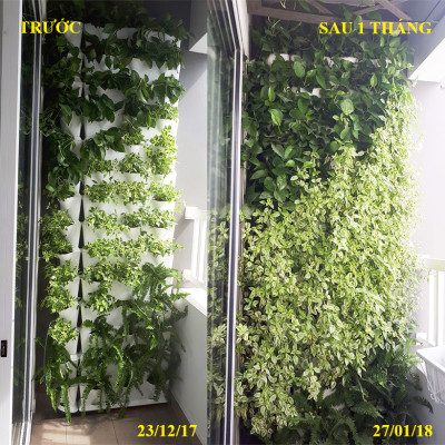 Khung Trồng cây ban công đứng Minigarden Vertical phong cách Châu Âu (1m2 gồm 8 module + 1 khay hứng nước) Kèm hệ thống tưới nhỏ giọt. Với 1 module trồng được 3 hóc cây. Thích hợp cho cả trồng rau sạch đứng