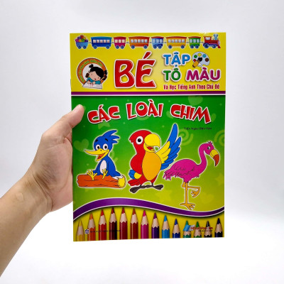 Bé Tập Tô Màu Và Học Tiếng Anh Theo Chủ Đề - Các Loại Chim