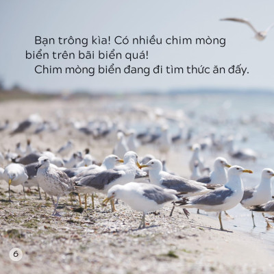 Song Ngữ Việt Anh - Khám Phá Thế Giới - Trên Bãi Biển - At The Beach