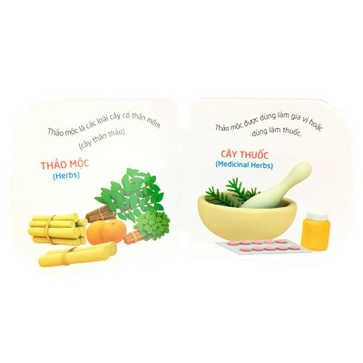 Thế Giới Trong Mắt Em - Thực Vật