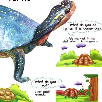My First Questions & Answers - Reptiles & Amphibians