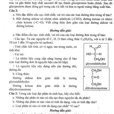 Bồi Dưỡng Học Sinh Giỏi Sinh Học 10 (Dùng Chung Cho Các Bộ SGK Hiện Hành) 