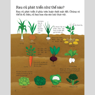 Thế Giới Trong Tay Em - Bí Mật Về Các Loại Thức Ăn