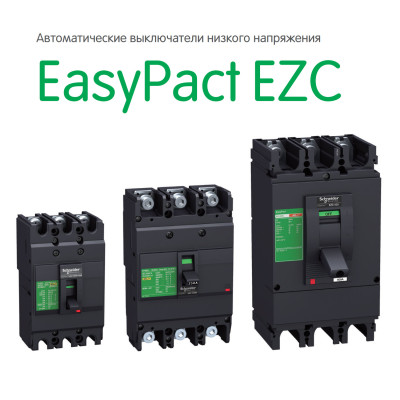 Cầu dao EZC100N3060 Schneider