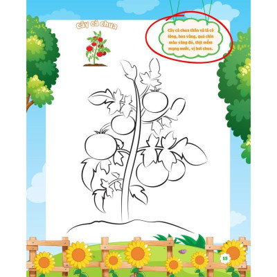 Sách - My Big Garden - Con Tô Màu Cảm Xúc Khu Vườn - Megabook