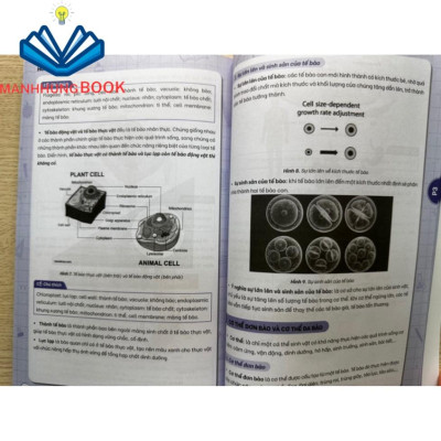 Sách - Sổ tay chinh phục kiến thức Toán - Anh - Khoa học tự nhiên lớp 6 ( Chương trình mới)