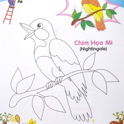 Bé Tập Tô Màu Và Học Tiếng Anh Theo Chủ Đề - Các Loại Chim