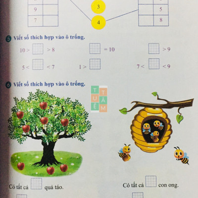 Sách - Bài tập tuần Toán 1 (kết nối tri thức với cuộc sống)