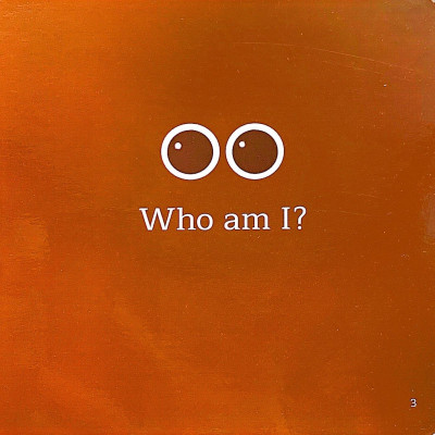 Amazing Transformations - Who Could I Be? - Bìa Cứng
