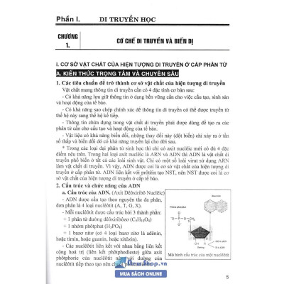 Sách - Bồi Dưỡng Học Sinh Giỏi Sinh Học 10 - 11 - 12 (Phan Khắc Nghệ)