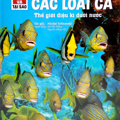 Combo sách Trọn bộ thế nào và tại sao (19 cuốn Bìa cứng) - minhhabooks