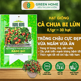 Hạt Giống Cà Chua Bi Lùn Lai F1 GreenHome, Gói 0,1g~30 hạt, Dễ Trồng Quanh Năm, Trồng Chậu T41