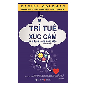 Trí Tuệ Xúc Cảm - Ứng Dụng Trong Công Việc (Tái Bản 2021)