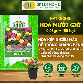 Hạt Giống Hoa Mười Giờ Greenhome, Gói 0,03gr~150 hạt, Sai Hoa, Màu Rực Rỡ, Dễ Trồng Quanh Năm, Nảy Mầm H08