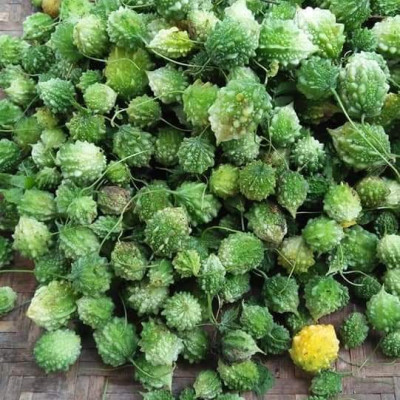 Đặc Sản Kon Tum - Trái Khổ Qua Rừng Sấy Khô Thơm Ngon Hiệu Đặc Sản Và Dược Liệu Kon Tum (1Kg) - OCOP 3 Sao