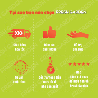Bánh Quy Bơ Ăn Vặt FRESH GARDEN Vị Mứt Dâu Thơm Lừng Hương Bơ Và Vani Hộp 120g