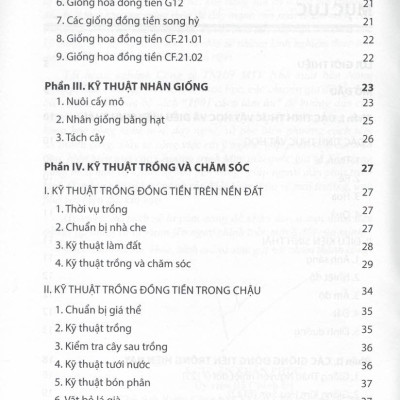 Cách Trồng HOA ĐỒNG TIỀN