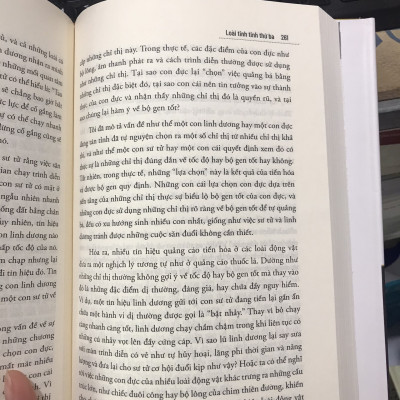 Loài tinh tinh thứ ba