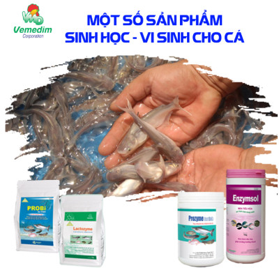 Vemedim Anti-fungi cá đặc trị nấm thủy mi, nhiễm khuẩn mang, nấm trong môi trường ao nuôi, chai 100ml