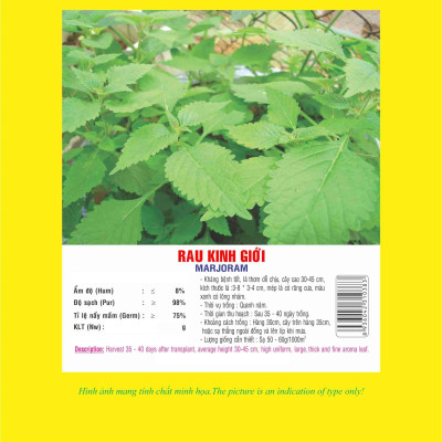 Hạt giống rau kinh giới giống kháng bệnh nảy mầm tốt VTP33