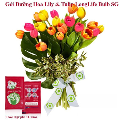 Thuốc cắm hoa Lily lâu tàn nhập khẩu Israel (1 hộp 5 gói  pha 50L nước că) hiệu Longlife Bulbs Premium 2023 giúp hoa tulip và hoa lily tươi gấp 2 lần và 14 ngày không thay nước