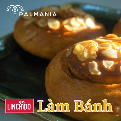 [ COMBO 5 GÓI ] Mật thốt nốt bột PALMANIA | Nguyên Chất, Tự Nhiên (300 GRAM)