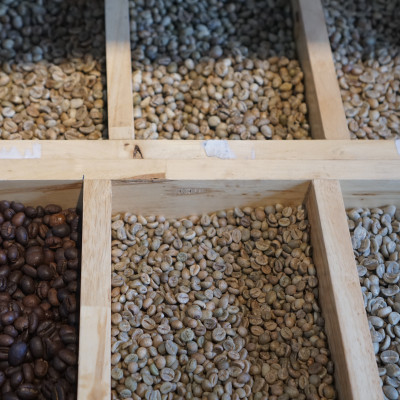 Cà phê bột nguyên chất 100% Coffee Tree đặc biệt 500gr thơm ngon, đậm đà - Cà phê rang xay pha phin gu việt