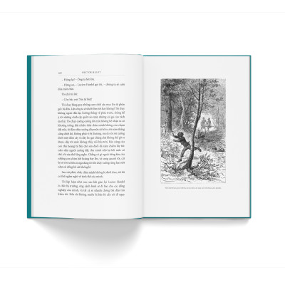 (Bìa cứng, bọc vải) VỀ VỚI GIA ĐÌNH - Hector Malot - Lê Đình Chi dịch - Đông A