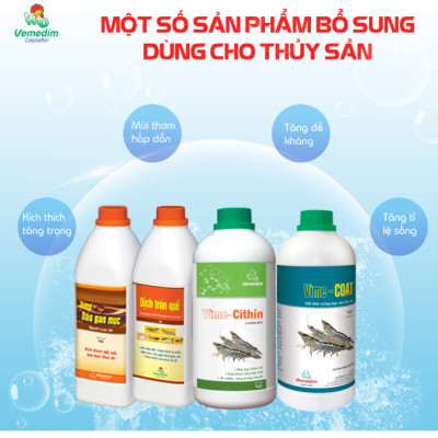 Vemedim Anti-fungi cá đặc trị nấm thủy mi, nhiễm khuẩn mang, nấm trong môi trường ao nuôi, chai 100ml
