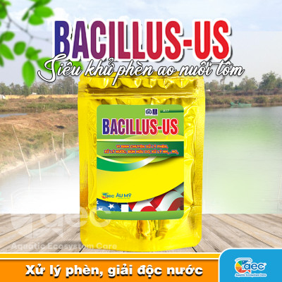 Bacillus Us – Chế phẩm vi sinh hỗ trợ giảm phèn, cải thiện môi trường ao nuôi tôm