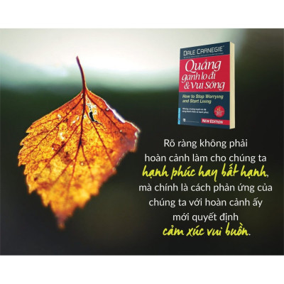 Quẳng Gánh Lo Đi Và  Vui Sống (Tái Bản)