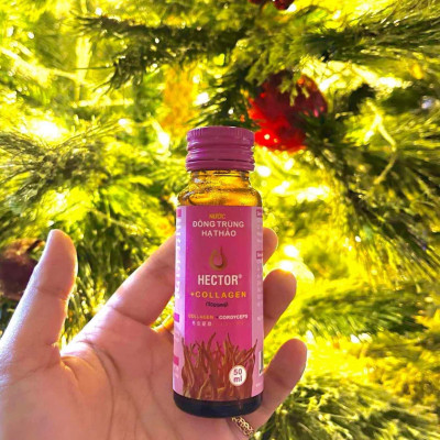 Combo 2 Hộp (20 Chai) Nước Đông Trùng Hạ Thảo Hector Collagen