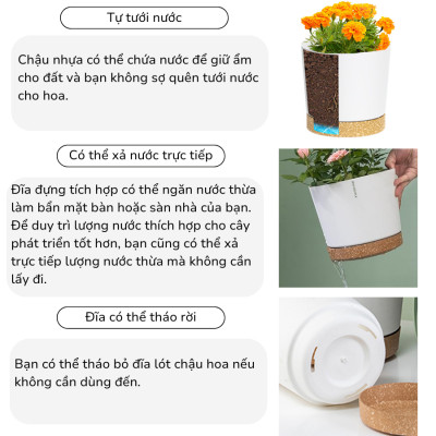 Chậu trồng cây tự tưới thông minh MONROVIA cho hoa, cây cảnh trong nhà và ngoài trời hình trụ tròn