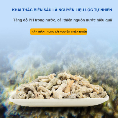 5KG San Hô Vụn vật liệu lọc hồ cá, trang trí bể cá, hồ thủy sinh cao cấp 