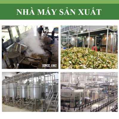 Tinh dầu hoa ngũ sắc/ hoa cứt lợn/ hoa cỏ hôi/ hoa ngũ vị 100ml nguyên chất từ thiên nhiên - KingOil