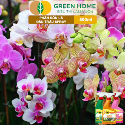 Bộ 3 Phân Bón Lá Đầu Trâu Spray 1, 2, 3 Greenhome, Bình Điền, Chai 500ml, Cao Cấp, Chuyên Cho Hoa Kiểng