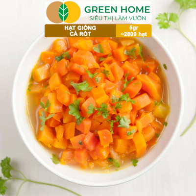 Hạt Giống Cà Rốt GreenHome, Gói 5g~2800 hạt, Dễ Trồng Quanh Năm, Củ To, Dài, Sinh Trưởng Khỏe T40