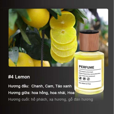 Nước Hoa Ô Tô Tinh Dầu Thơm Xe Hơi Khuếch Tán Nước Hoa Khử Mùi Ô Tô Chống Say Xe, Que Tán Hương Thơm Phòng 160 ml