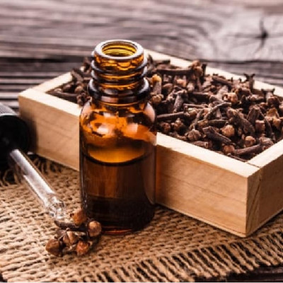 Tinh dầu Đinh hương 100ml nguyên chất từ thiên nhiên - Mộc Mây