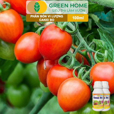 Phân Bón Vi Lượng Canxi Bo Greenhome, Chai 100ml, Kích Rễ, Chống Rụng Trái Non Trên Cây Trồng
