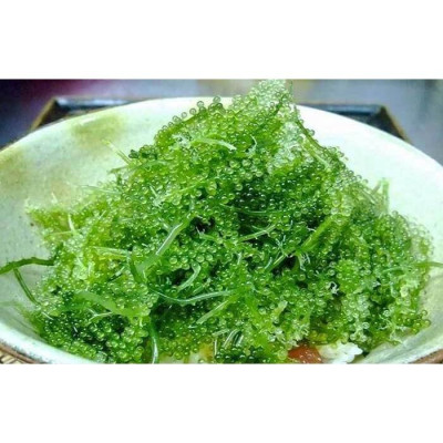 30g Rong Nho Tách Nước- Giàu Dinh Dưỡng