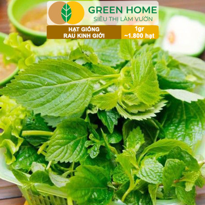 Hạt Giống Rau Kinh Giới, Bao 1gr~1800 hạt, Dễ Trồng, Nảy Mầm Cao, Thu Hoạch Nhanh, Năng Suất Cao G12