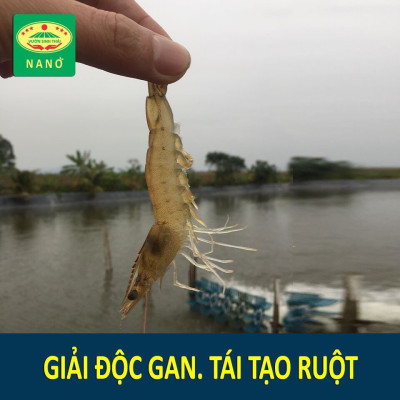 Combo 2 chai Chế phẩm sinh học VƯỜN SINH THÁI nuôi Tôm, Cá, Ếch