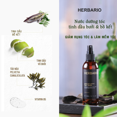 Bộ 5 Chăm Sóc Tóc Vỏ bưởi & Bồ kết Herbario: Dầu gội 300ml + Dầu xả 300ml + Xịt dưỡng 100ml + Serum 30ml + Kem ủ tóc 200ml